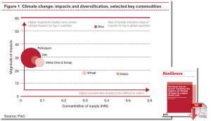 rsz_1pwc_climate_change_impacts_resilience_download_image