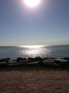 View of Lake Michigan from Campus.