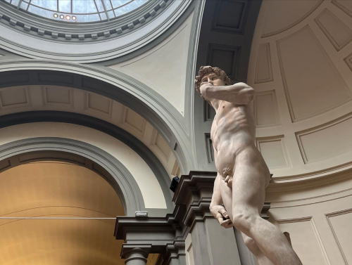 The David, by Michelangelo, a Renaissance piece that depicts the ideal human figure in the Galleria Academia.